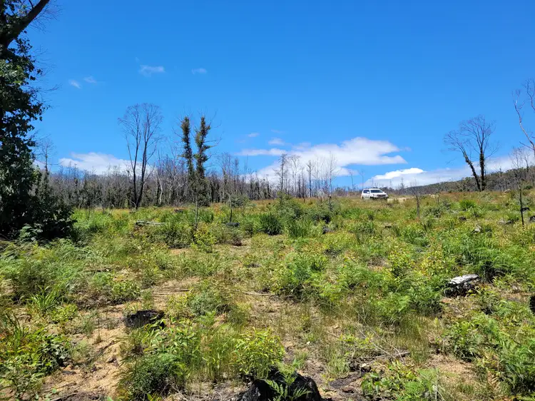 Fifth view of Homely rural property listing, 245 Rose Valley Road, Charleys Forest, Braidwood NSW 2622