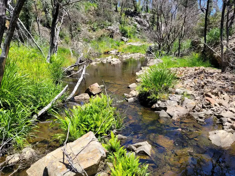 Sixth view of Homely rural property listing, 245 Rose Valley Road, Charleys Forest, Braidwood NSW 2622