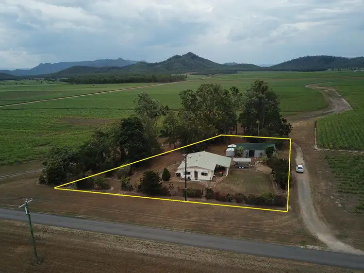 Main view of Homely house listing, 74 Scotts Road, Lannercost QLD 4850