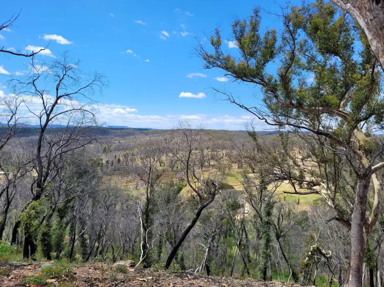 Second view of Homely rural property listing, 102 Jacquet Road, Tomboye, Braidwood NSW 2622