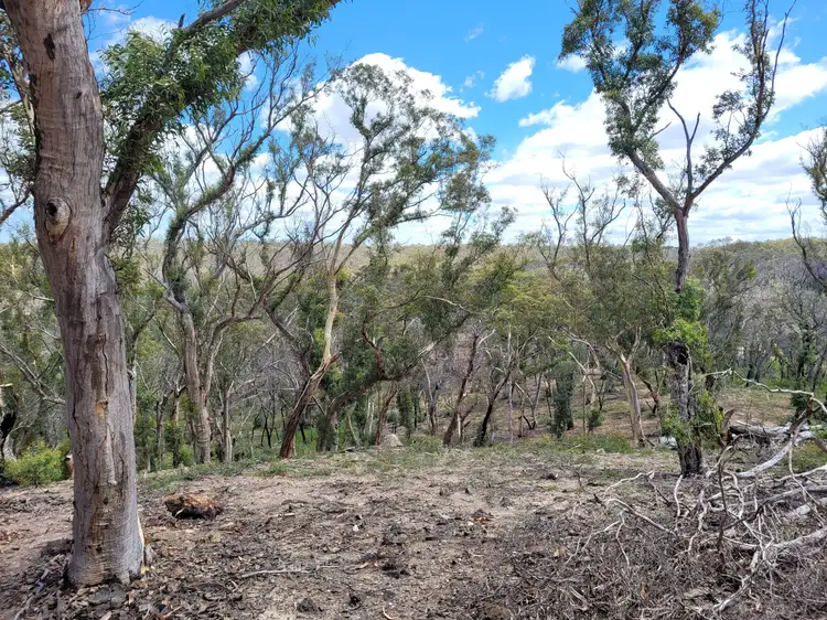 Third view of Homely rural property listing, 102 Jacquet Road, Tomboye, Braidwood NSW 2622