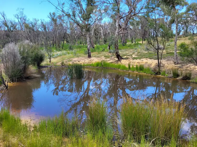 Fourth view of Homely rural property listing, 102 Jacquet Road, Tomboye, Braidwood NSW 2622