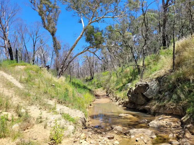 Sixth view of Homely rural property listing, 102 Jacquet Road, Tomboye, Braidwood NSW 2622
