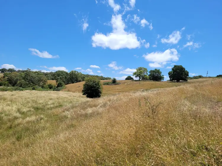 Third view of Homely rural property listing, 1132 Charleys Forest Road, Braidwood NSW 2622