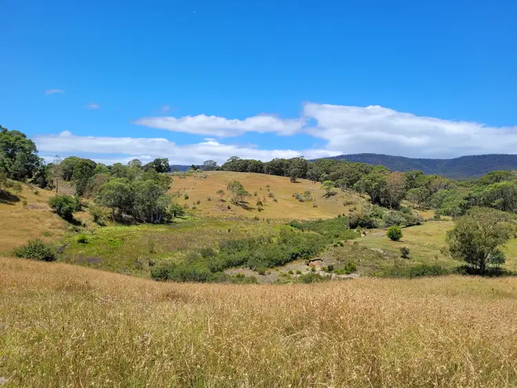 Fourth view of Homely rural property listing, 1132 Charleys Forest Road, Braidwood NSW 2622