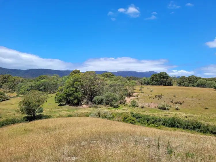 Fifth view of Homely rural property listing, 1132 Charleys Forest Road, Braidwood NSW 2622