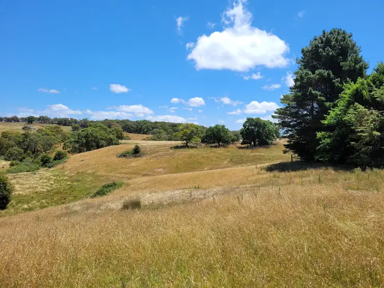 Sixth view of Homely rural property listing, 1132 Charleys Forest Road, Braidwood NSW 2622