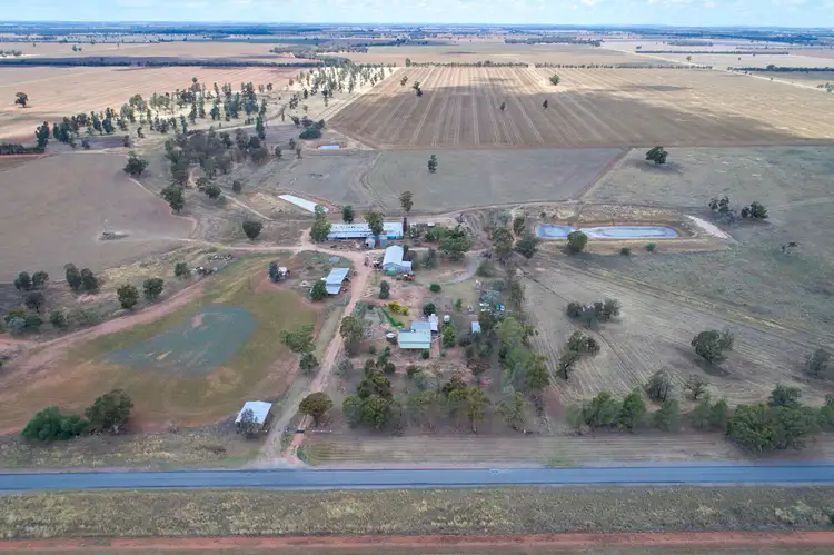 342 Matong North Road, Matong NSW 2652