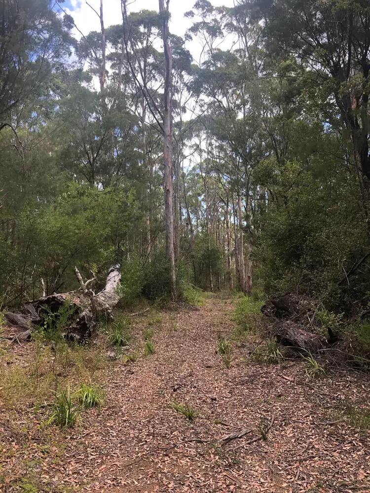 74 Karri Drive, Denmark WA 6333