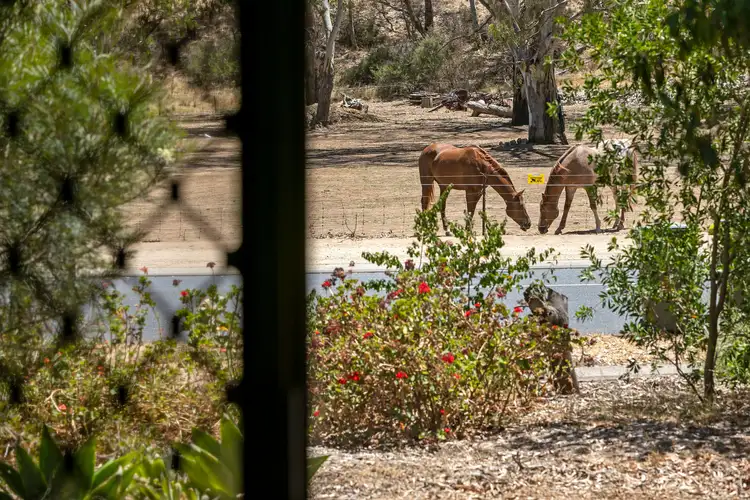 Sixth view of Homely house listing, 459 Yatala Vale Road, Fairview Park SA 5126