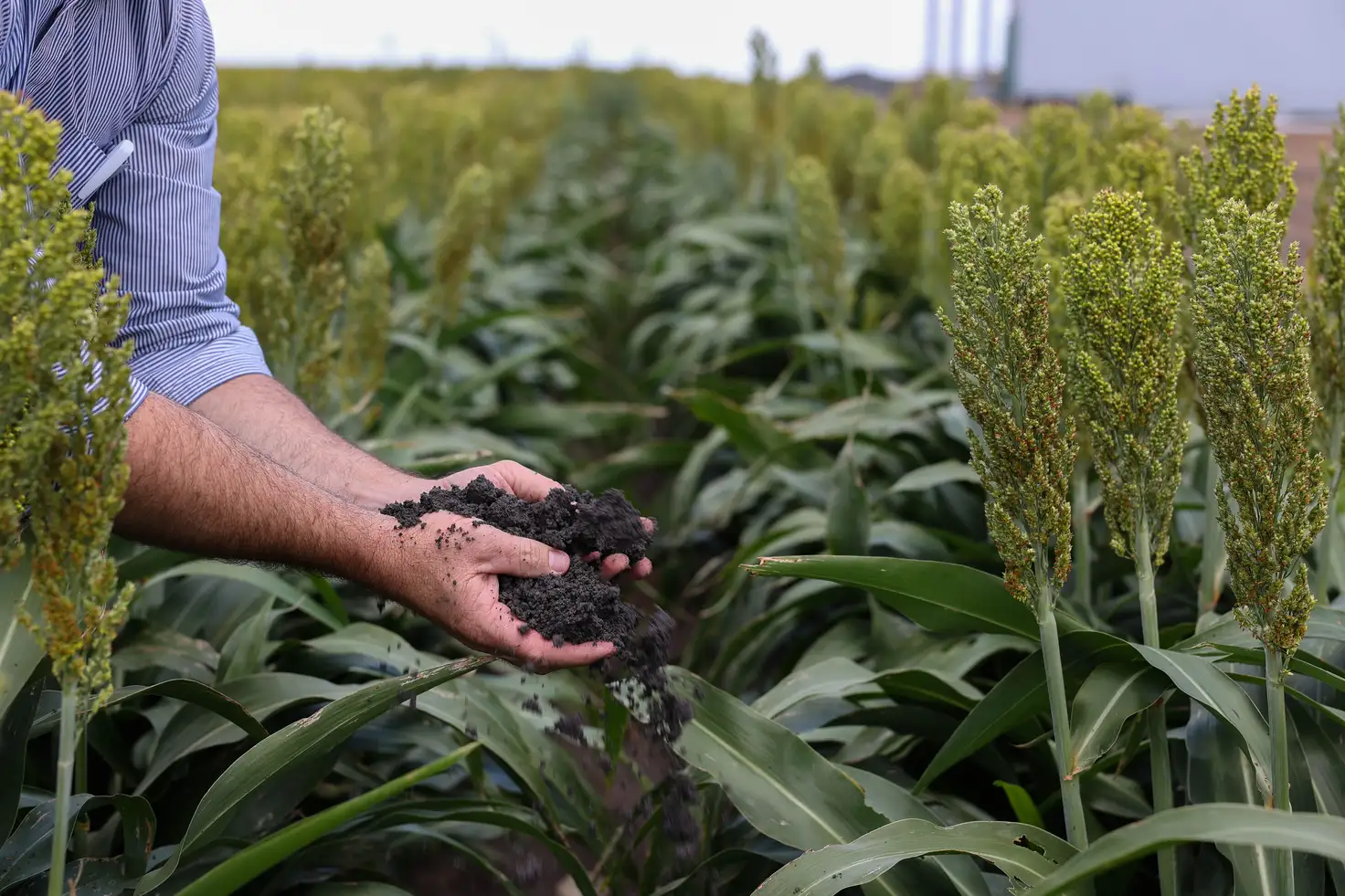 Main view of Homely rural property listing, "Zephyr" Toowoomba-Cecil Plains Road, Norwin QLD 4356