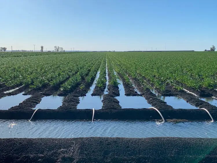 Seventh view of Homely rural property listing, "Zephyr" Toowoomba-Cecil Plains Road, Norwin QLD 4356