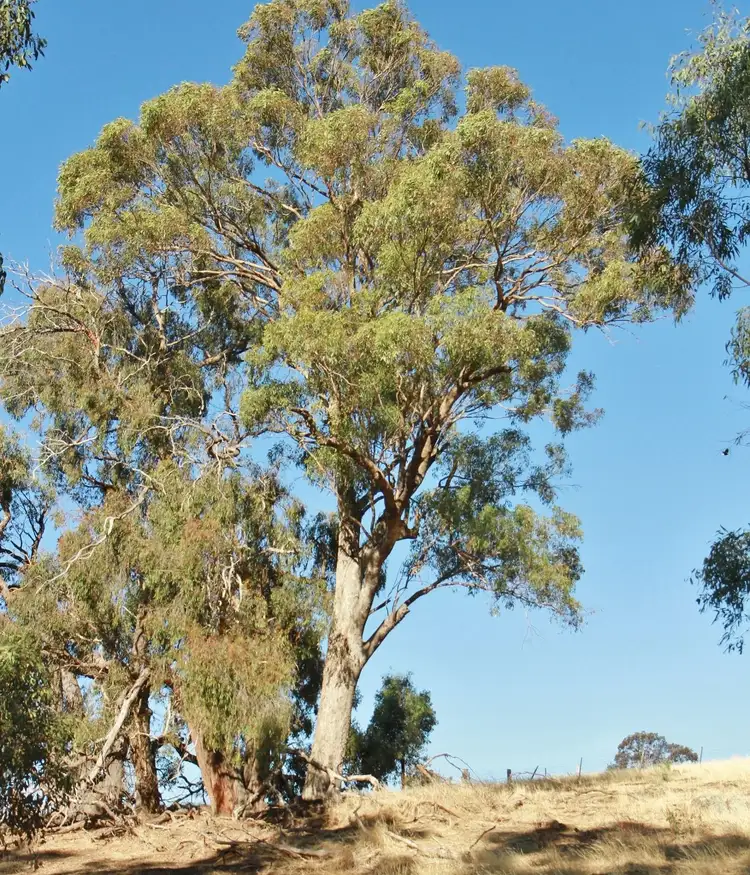 Second view of Homely land listing, Lot 1 Spring Plains Road, Heathcote VIC 3523
