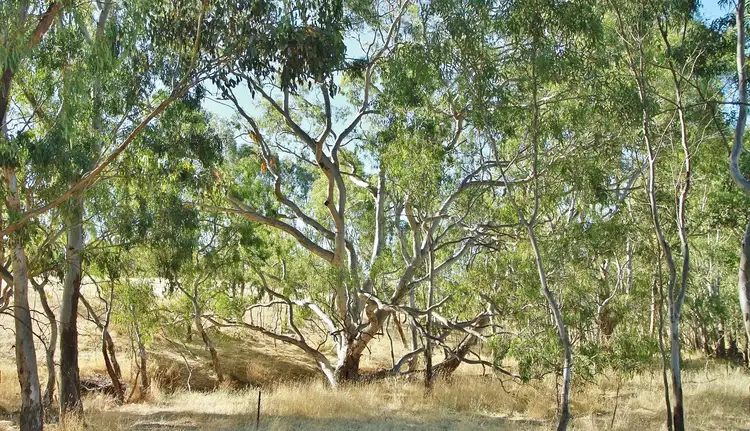 Third view of Homely land listing, Lot 1 Spring Plains Road, Heathcote VIC 3523