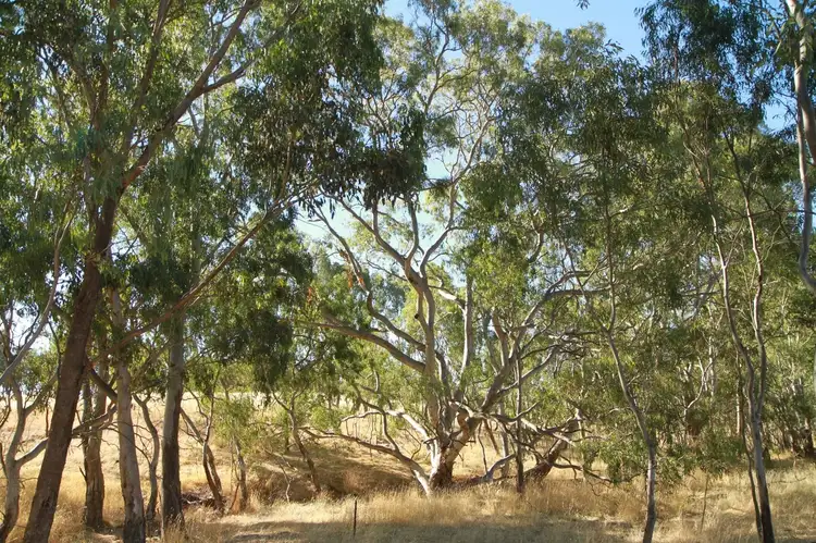 Sixth view of Homely land listing, Lot 1 Spring Plains Road, Heathcote VIC 3523