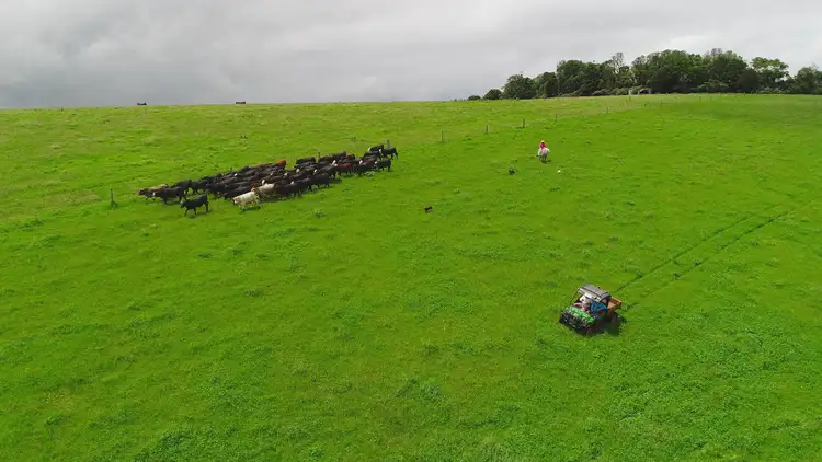 Fourth view of Homely rural property listing, Address available on request