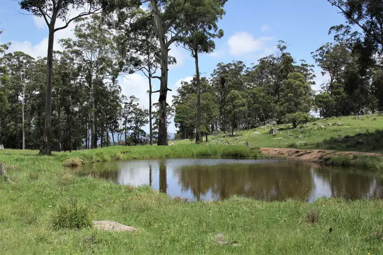 Main view of Homely rural property listing, 170 Bungulla Road, Tenterfield NSW 2372