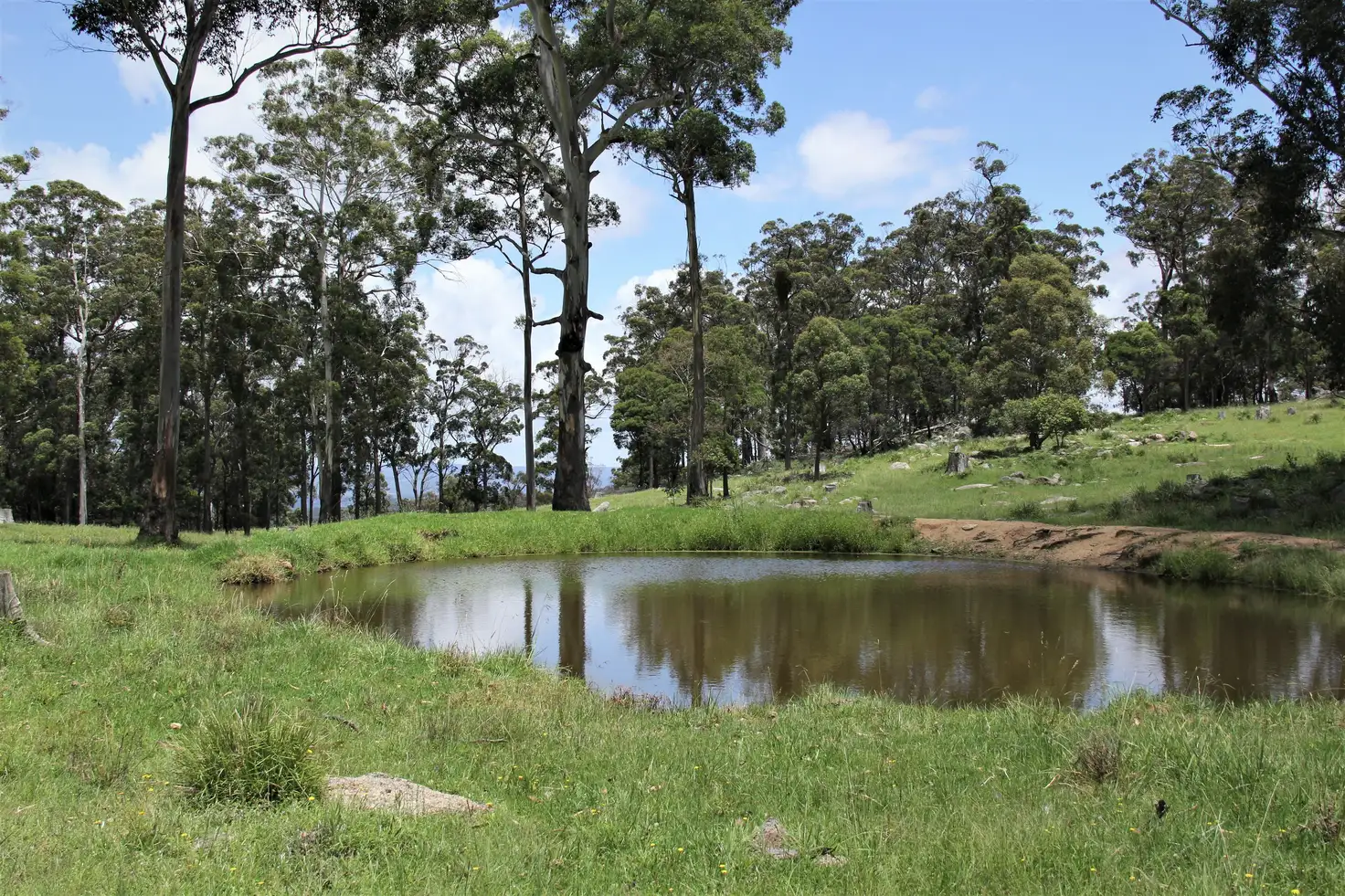 Main view of Homely rural property listing, 170 Bungulla Road, Tenterfield NSW 2372