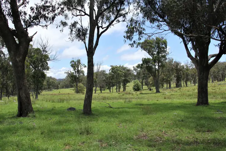 Seventh view of Homely rural property listing, 170 Bungulla Road, Tenterfield NSW 2372