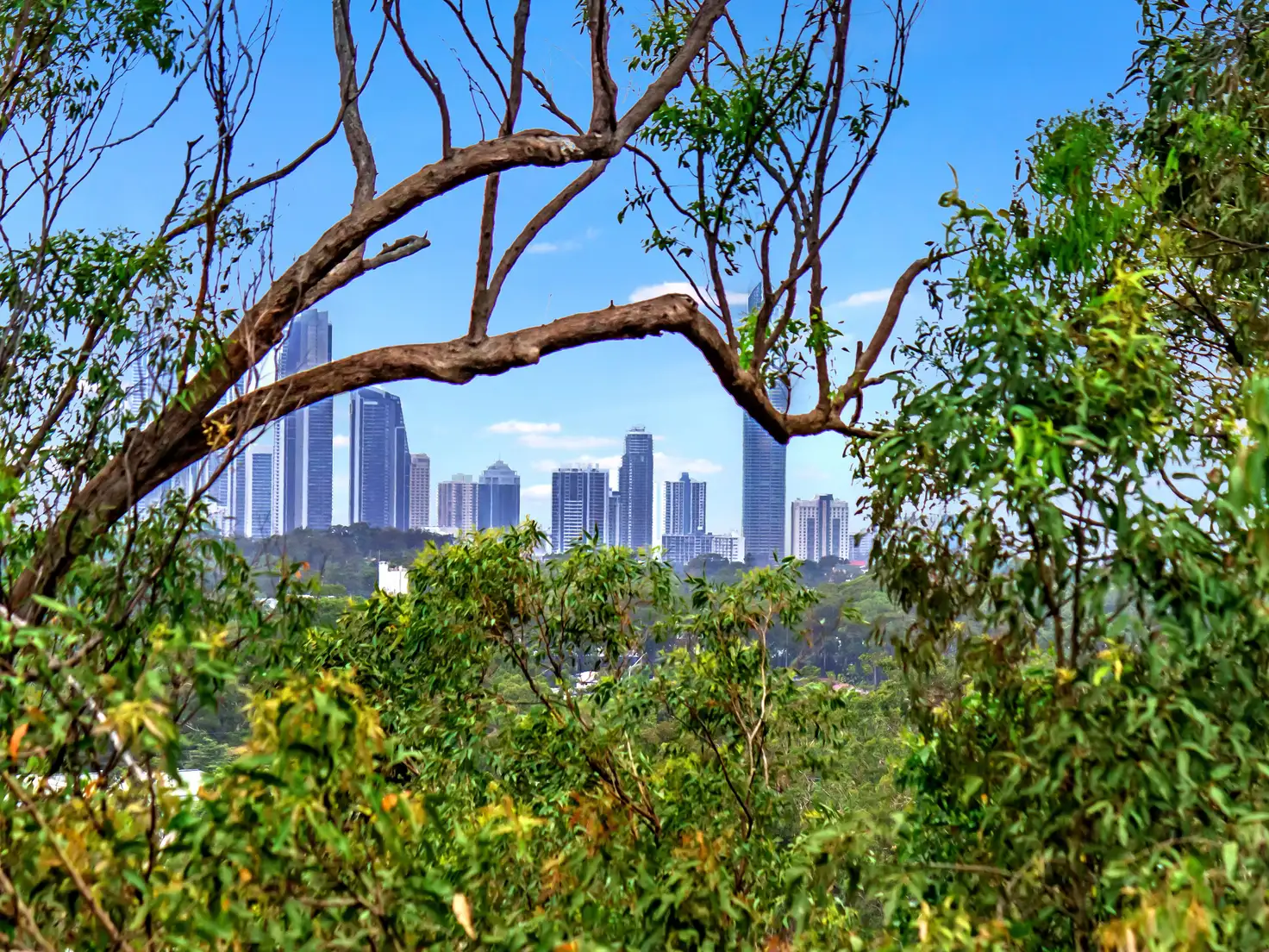 Main view of Homely house listing, 21 Zane Street, Molendinar QLD 4214