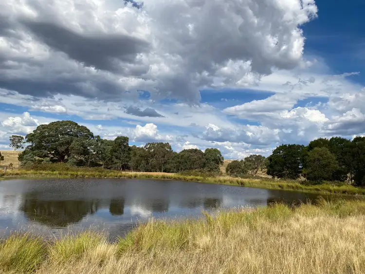 Fifth view of Homely rural property listing, 38 Murdochs Lane, Goulburn NSW 2580