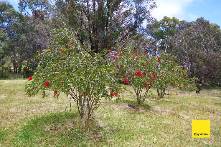 Seventh view of Homely house listing, 757 Rossi Road, Rossi NSW 2621
