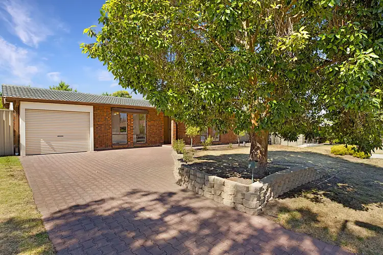 14 Roclin Avenue, Newton SA 5074