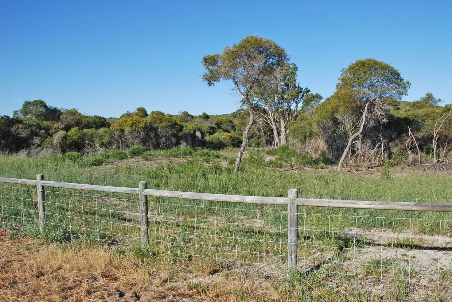 Main view of Homely land listing, Lot 170 Sailfish Way, Jurien Bay WA 6516