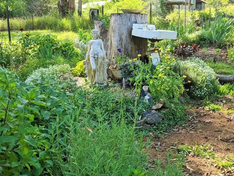 Seventh view of Homely other listing, 6 Cross Street, Dundurrabin NSW 2453