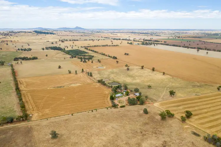 Third view of Homely rural property listing, 135 Eleven Mile Lane, Yarragundry via, Wagga Wagga NSW 2650