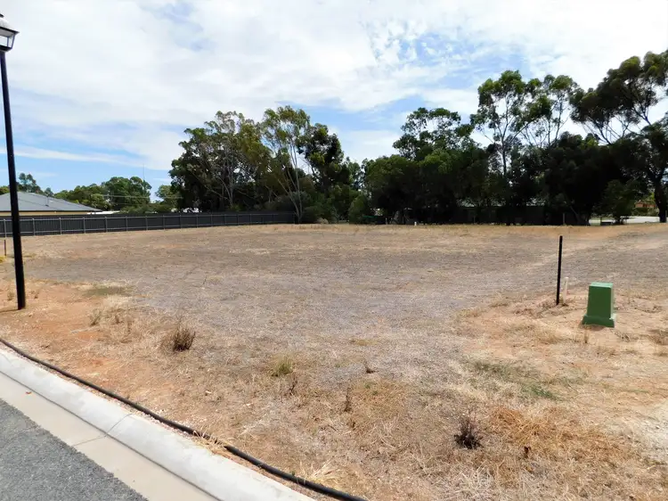 Lot 2 Gum Avenue, Bordertown SA 5268