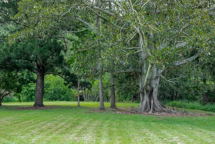 Sixth view of Homely rural property listing, 279 Camp Creek Road, Running Creek QLD 4287