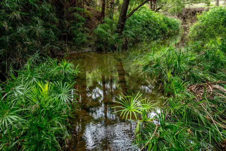 Seventh view of Homely rural property listing, 279 Camp Creek Road, Running Creek QLD 4287