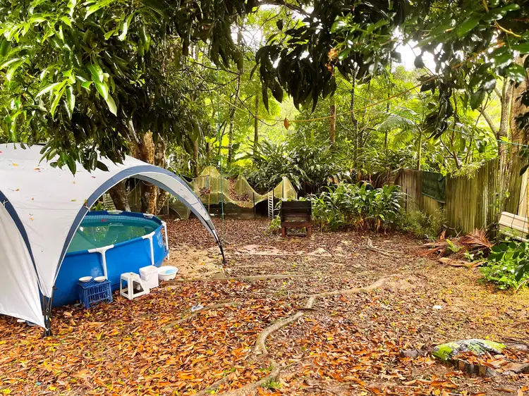 Third view of Homely house listing, 5 Kullaroo Close, Kuranda QLD 4881