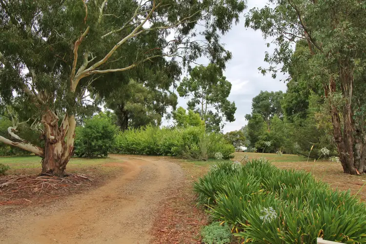 91 Back Creek Road, Young NSW 2594