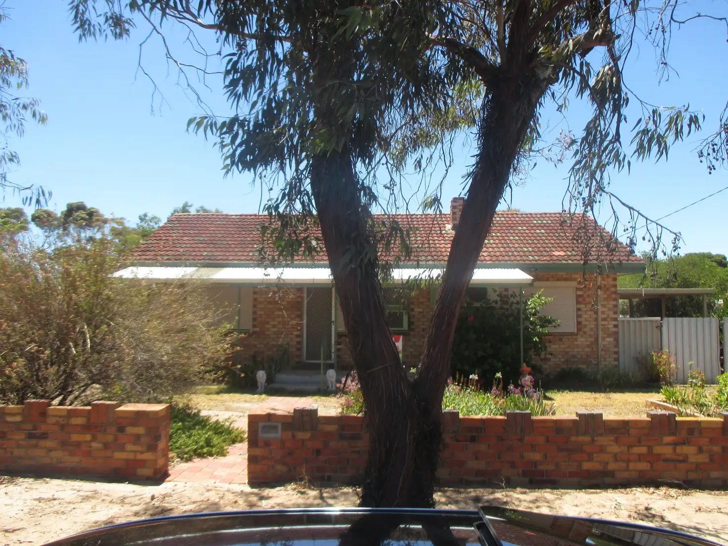 Main view of Homely house listing, 39 Conroy, Katanning WA 6317