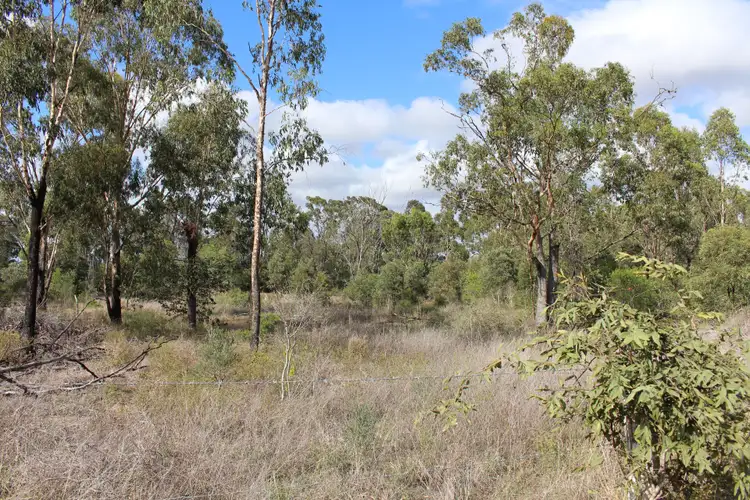 Seventh view of Homely rural property listing, 28 Munro Lane, Marmor QLD 4702