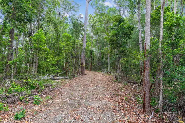 Fifth view of Homely land listing, 1179 Louis Bazzo Drive, Cootharaba QLD 4565
