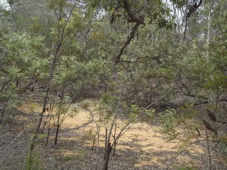 Fifth view of Homely land listing, 9-17 Keith Street, Burrum River QLD 4659