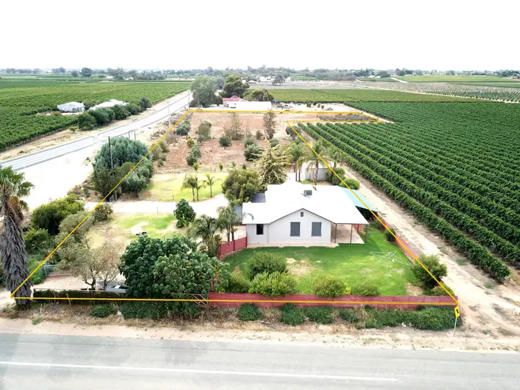 Main view of Homely house listing, 16990 Sturt Highway, Cobdogla SA 5346