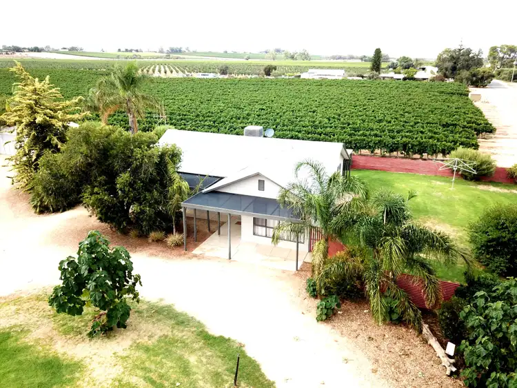 Second view of Homely house listing, 16990 Sturt Highway, Cobdogla SA 5346