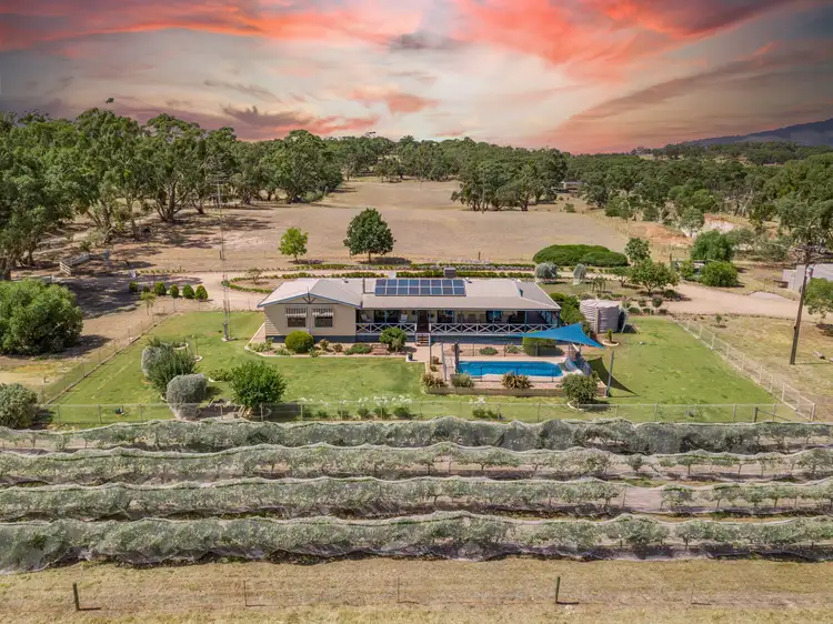 Main view of Homely rural property listing, 86 Hubbe Road, Clare SA 5453