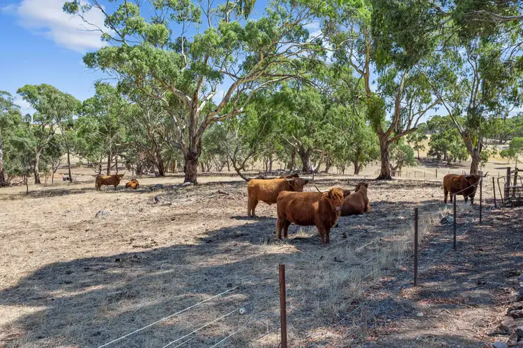 Fifth view of Homely rural property listing, 86 Hubbe Road, Clare SA 5453