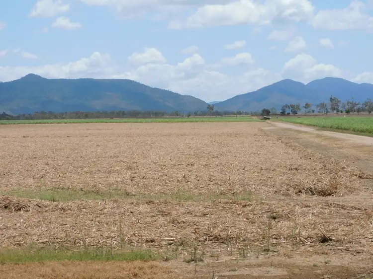 Fourth view of Homely rural property listing, Lot 1, 1107 Up River Road, Proserpine QLD 4800