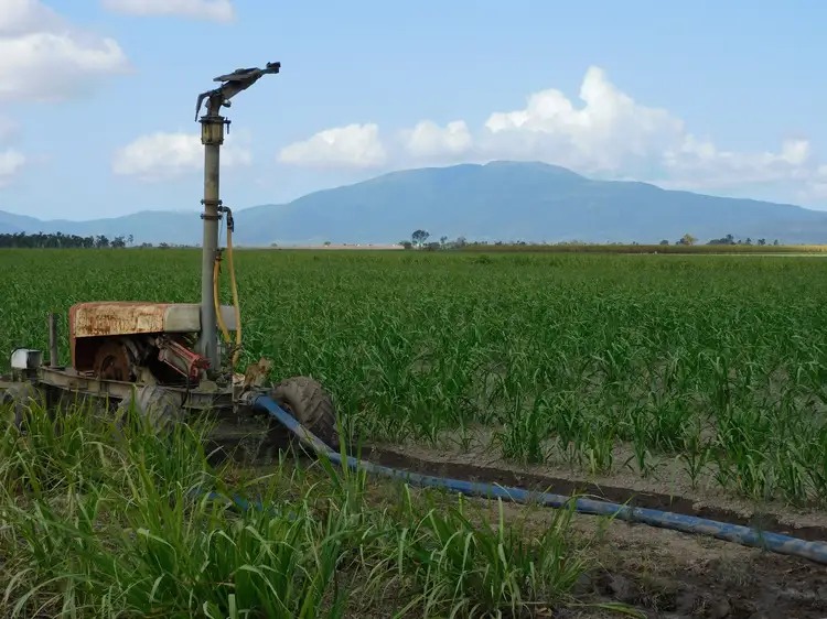 Fifth view of Homely rural property listing, Lot 1, 1107 Up River Road, Proserpine QLD 4800