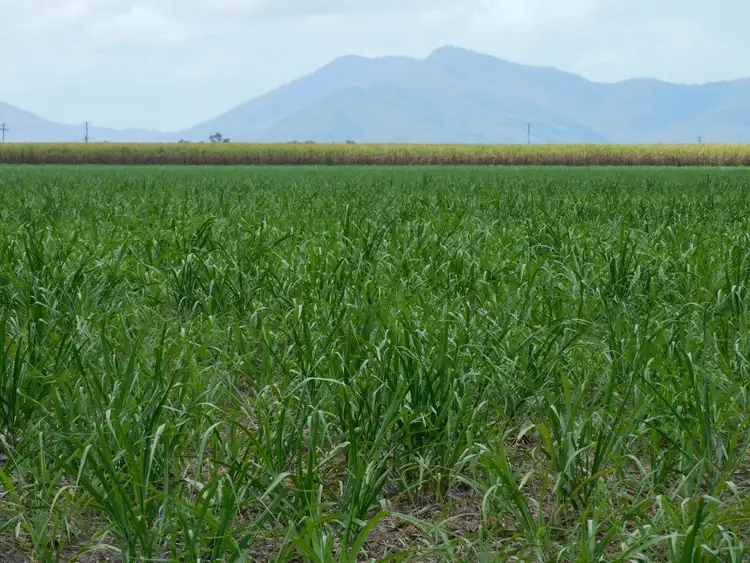 Second view of Homely rural property listing, Lot 12, 1107 Up River Road, Proserpine QLD 4800