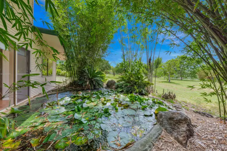 Sixth view of Homely house listing, 534 Sugarloaf Road, Riordanvale QLD 4800