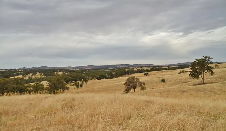 Main view of Homely land listing, 142 Wild Duck Road, Heathcote VIC 3523
