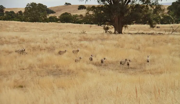 Second view of Homely land listing, 142 Wild Duck Road, Heathcote VIC 3523