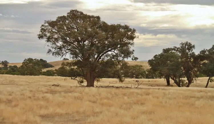 Third view of Homely land listing, 142 Wild Duck Road, Heathcote VIC 3523